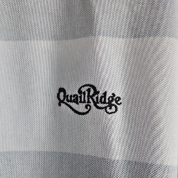 FootJoy Men's Polo in Gray and Blue Tones - Picture 3 of 4